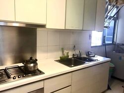 Oasis @ Elias (D18), Condominium #551259031